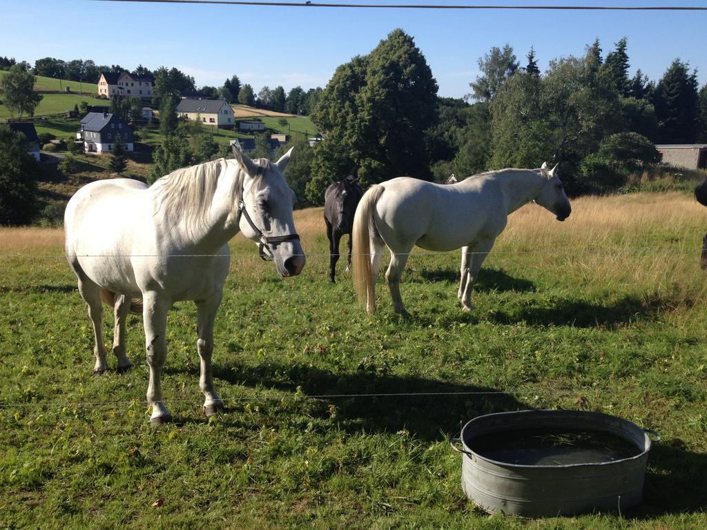 Ferienwohnung Unger Stutzengrun Buitenkant foto